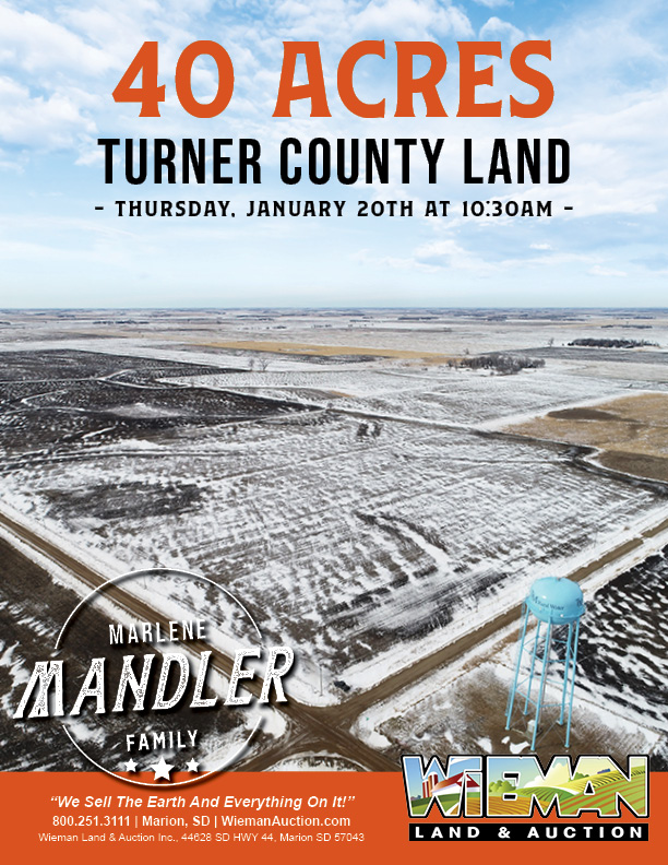 Mandler Land Thumbnail.jpg